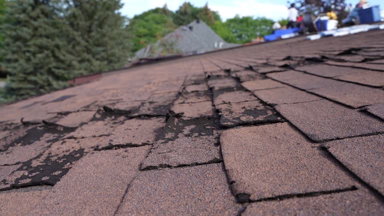 Best Roof Leak Repair  in El Jon, CA