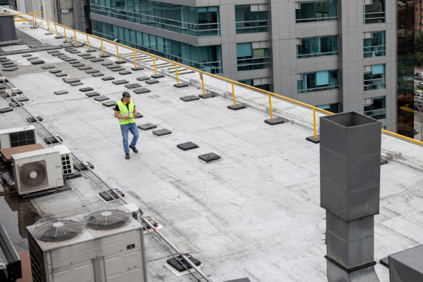 Best Metal Roofing Installation  in El Jon, CA