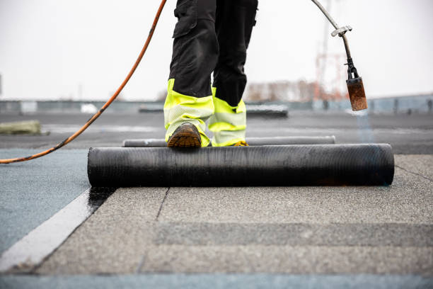 Best Roof Coating and Sealing  in El Jon, CA
